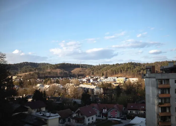 Elegant 1-bedroom Near Hill Forest Laibach